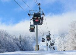 Location widget stratton