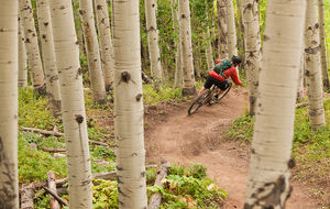 Vail Biking