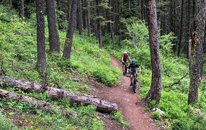 Jackson wyoming mtb with kids featured