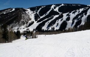 Beaver creek