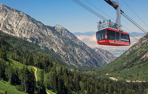 Red tram summer rendering