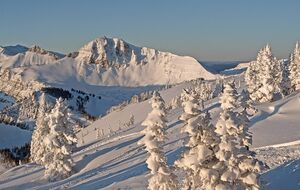 Jackson hole